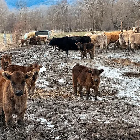 El Pla De L'os Apartmán Latour-de-Carol